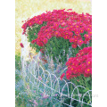 /msite/products/detail/productid/54066755/id/540892.html